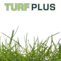Turf Plus Design logo