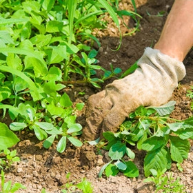 Two Rivers Lawn and Landscape Management - Landscape Construction in Signal Mountain, TN