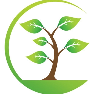 Vee's Botanicals & Son logo