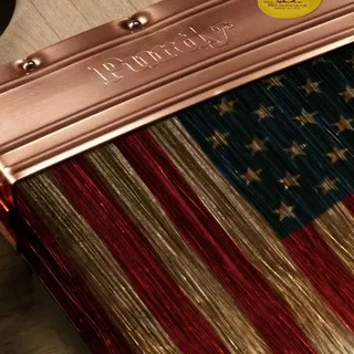 Veteran Painting logo