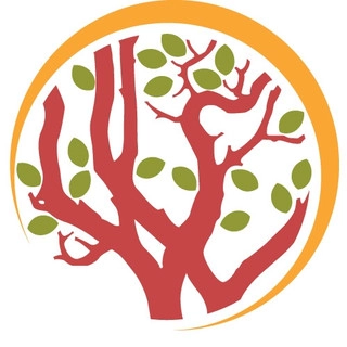 Vicente Landscaping logo