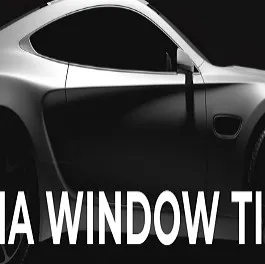 Visalia Window Tinting logo
