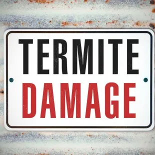 Walleye Capital Termite Removal Experts logo