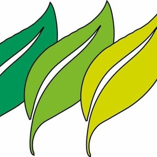 Warren Lawn & Landscape - Landscape Construction in Gas City, IN