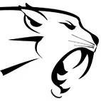 Wildcat Electric logo