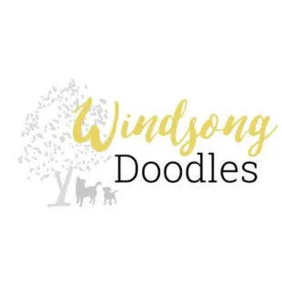Windsong Doodles LLC logo