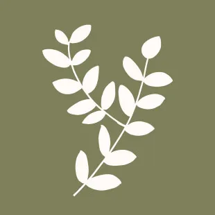 Younger Homes logo