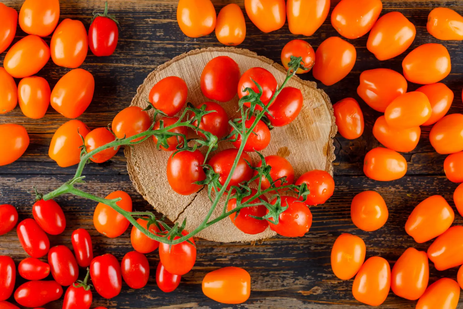 Early Girl Tomato