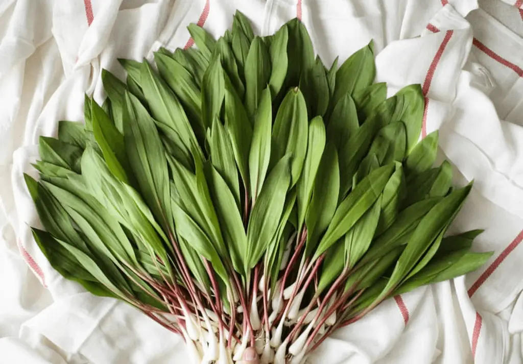 Ramps