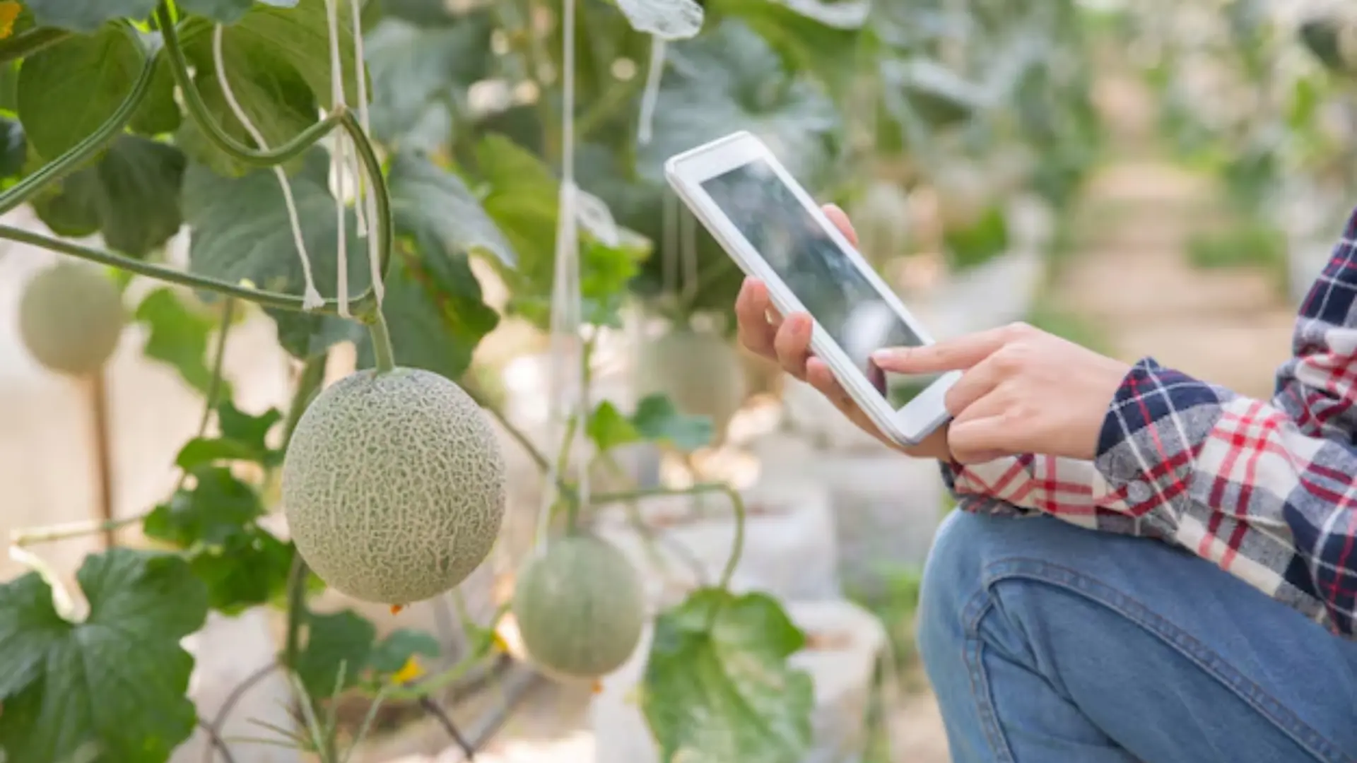 precision farming and air purification