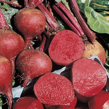 Beets, Crosby Egyptian - 1/2oz