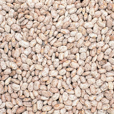 Beans, Pinto - 50lb