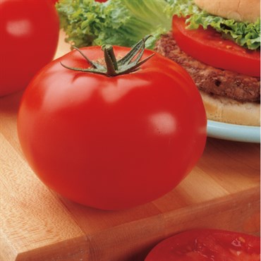 Tomato, Big Beef Untreated - 1,000 Sd Ct