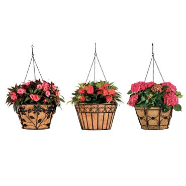 Deer Park Blk Hanging Basket Variety Pk 2 Floral Daisy Ribbon Arch