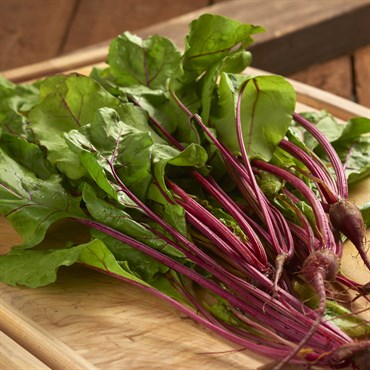 Beets, Bull'S Blood - 1/2oz