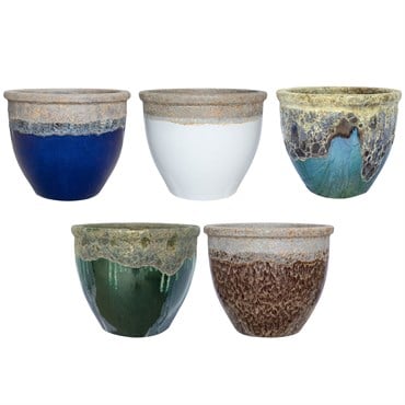 MCarr 54PC Flat Rim Pltr Plt Mixed Colors