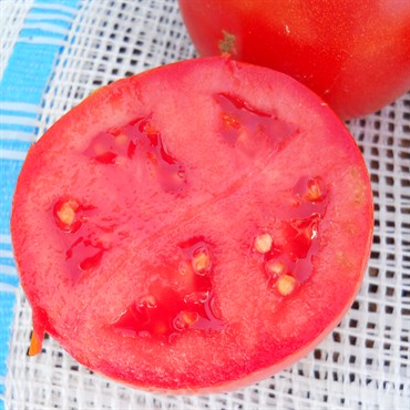 Tomato, Husky Red Hybrid Treated - 500 Seed Count