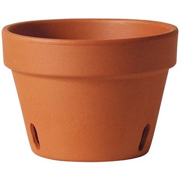 Southern Patio 6" Orchid Clay Pot