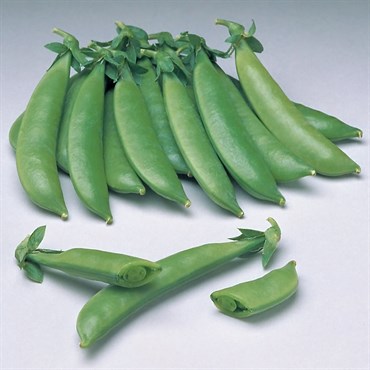 Peas, Sugar Sprint - 1lb