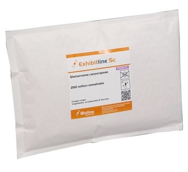 Steinernema carpocapsae 250 million per tray ( Fungus gnat, Shore Fly & Thrips pupa )