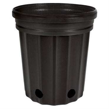 HC Dillen Elite 300 Nursery Pot, Blow Molded, Trade 1 Gallon, Black, 65 per Bundle, 168 Bundles per Pallet, 6.5in x 7.00in, 3.00 Quart, 1Gallon