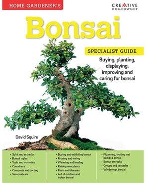 Creative Homeowners Home Gardeners Bonsai