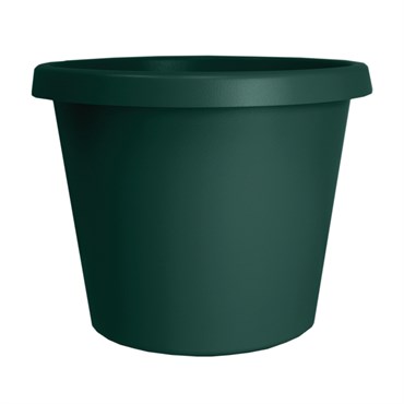 HC 8" Prima Planter Evergreen
