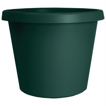 HC 14" Prima Planter Evergreen