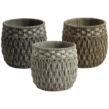 MCarr 48pc Seagrass Planter Pallet Mixed