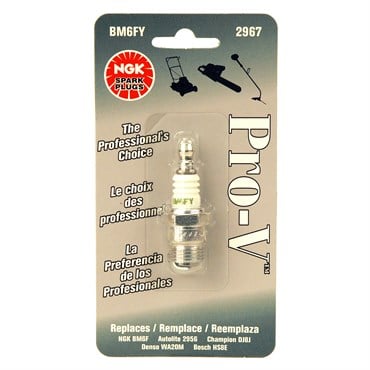 Maxpower NGK Pro V BM6FY Plug