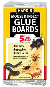 Harris 5pk Glue Boards