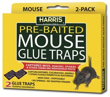 Harris 2pk Mouse Glue Traps