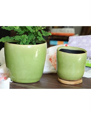 Jewel 4.5" Freeform Pot Pst