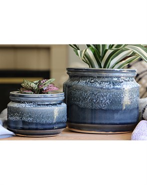 Jewel 4.5" Self Watering Pot Bts