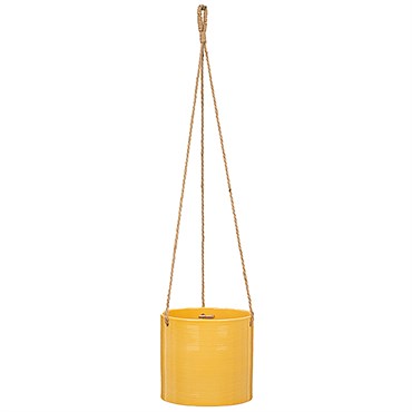 Scheurich 6.25" Zabaione 429/16 Hanging Pot