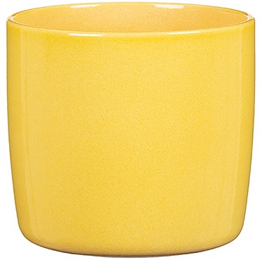 Scheurich 9.5" Solare 900/24 Planter