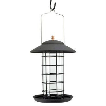 Woodlink Metal & Glass Tube Seed Feeder Black