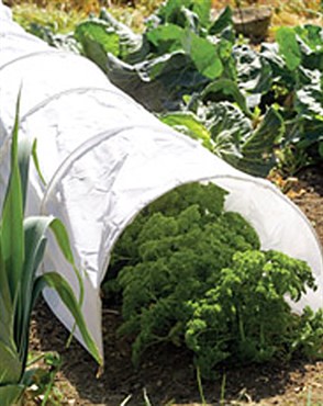 WSP 10'x1'6" Polythene Grow Tunnel