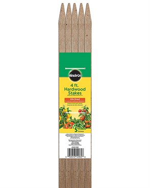 Miracle Gro 4'x3/4"x3/4" Hardwood Stake 5pk