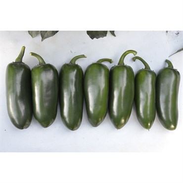 Peppers, Emerald Fire - 1,000 Seed Count