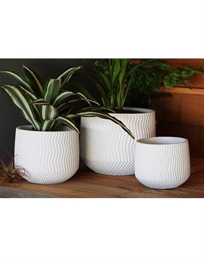 Avenue 5" Corrugated Cup Planter WCC