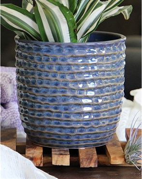 Palm Spring 5.5" Honey Comb Planter Dnm