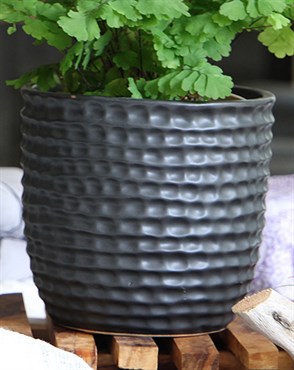Palm Spring 6.5" Honey Comb Planter Sgy