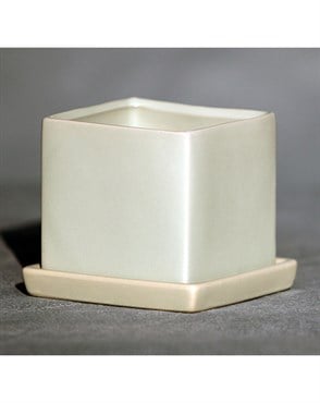 Palm Spring 4.5" Cube Pot with Ds Mlg