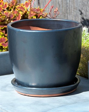 Verandah 8.5"x7.5" Lily Svr