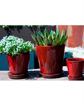 Verandah Lilac Size A Trd