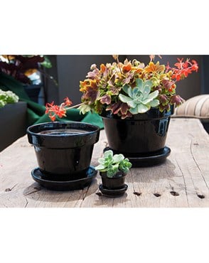 Verandah 6.5x5.5 Standard with Saucer Black