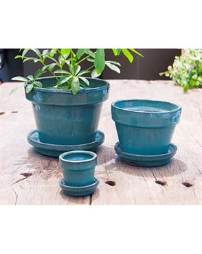 Verandah 2.5 Sq Jade Standard with Saucer