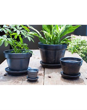 Verandah 8x6.5 Silver Standard with Saucer