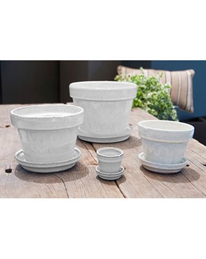 Verandah 2.5 Sq White Standard with Saucer